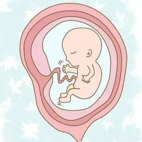 640 (4).jpg 640 (4).jpg